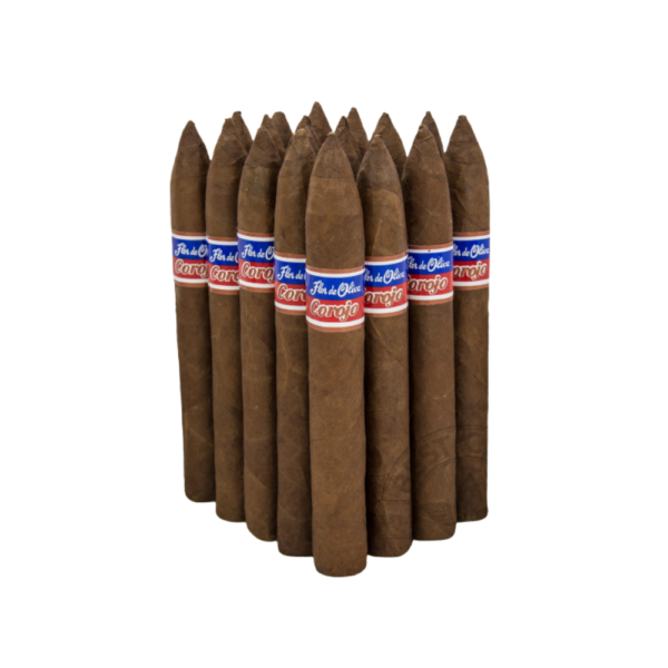 OLIVA FLOR COROJO TORPEDO BUNDLE 6 1/2X52  (20)